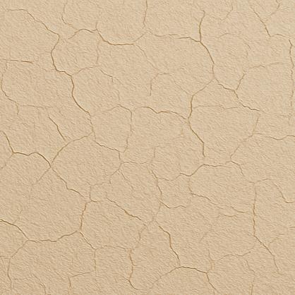 Dry Skin